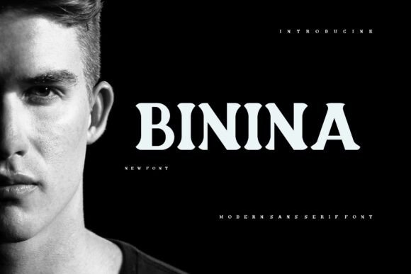 Binina: A Bold Serif Font for Modern Web Design